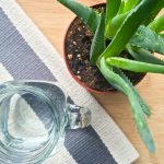 Soothe and Cleanse with Aloe